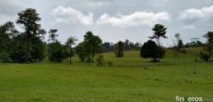 LA PRIMAVERA - Finca en Barrancabermeja, Santander
